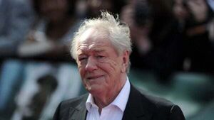 JK Rowling and Daniel Radcliffe lead tributes to Harry Potter star Michael Gambon