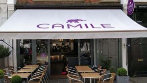 Profits plummet at Camile Thai due to increased costs and reduced consumer spending Profits plummet at Camile Thai due to increased costs and reduced consumer spending