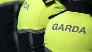 Six gardaí suspended from the force for over four years Six gardaí suspended from the force for over four years