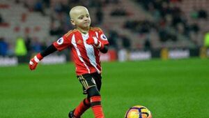 Man charged after Sheffield fans seen mocking death of young mascot