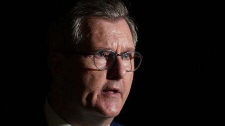 Gaps remain between UK government and DUP on trade border impasse, says Donaldson