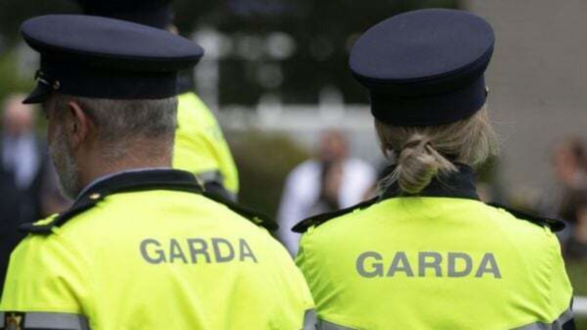 Garda management and associations agree on new interim roster