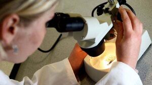 About 17,000 women in North to have smear tests re-checked