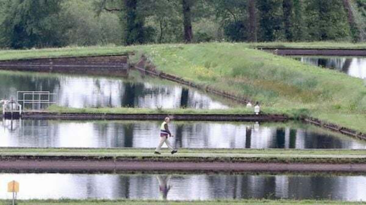 Sewage flowing into Irish waterways could 'fill three Olympic swimming pools' every day