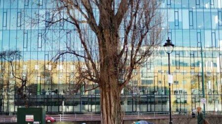 More emergency accommodation for single people and couples planned for Dublin