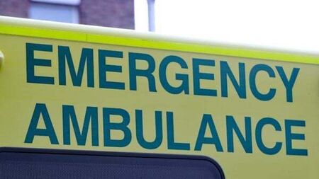 Two women in hospital after Waterford dog attack