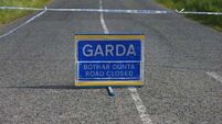 Man (20s) dies in single-vehicle collision in Co Waterford