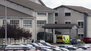 Woman injured in XL Bully dog attack in Wexford