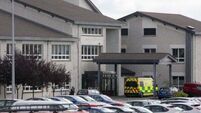 Woman injured in XL Bully dog attack in Wexford