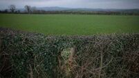 Rifle and revolvers among weapons found buried in hedgerow
