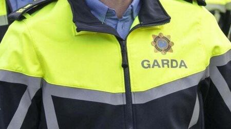 Man (25) jailed for punching garda in head while resisting arrest