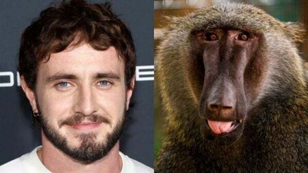 Paul Mescal fights pack of baboons in the new Gladiator film