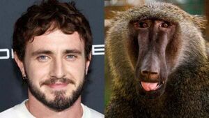 Paul Mescal fights pack of baboons in the new Gladiator film