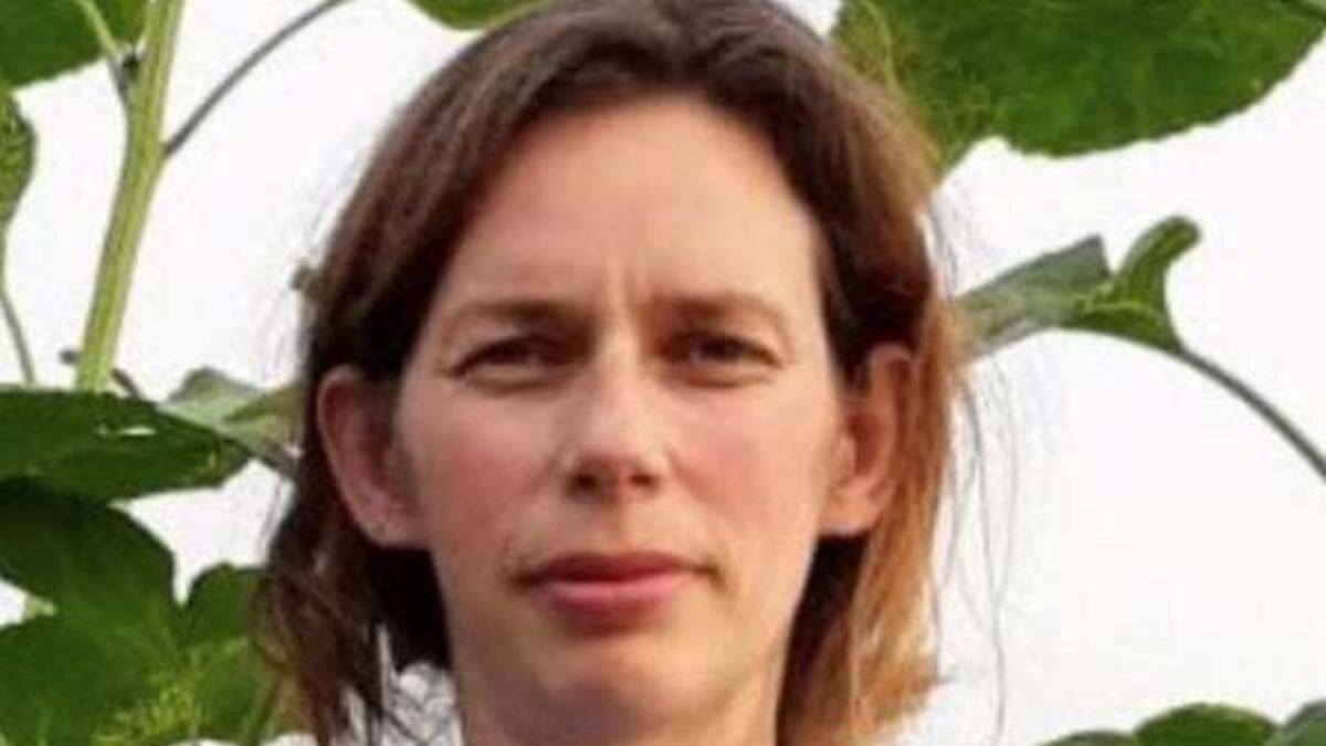 Murder trial shown bloodied knife man admits using in the killing of his wife