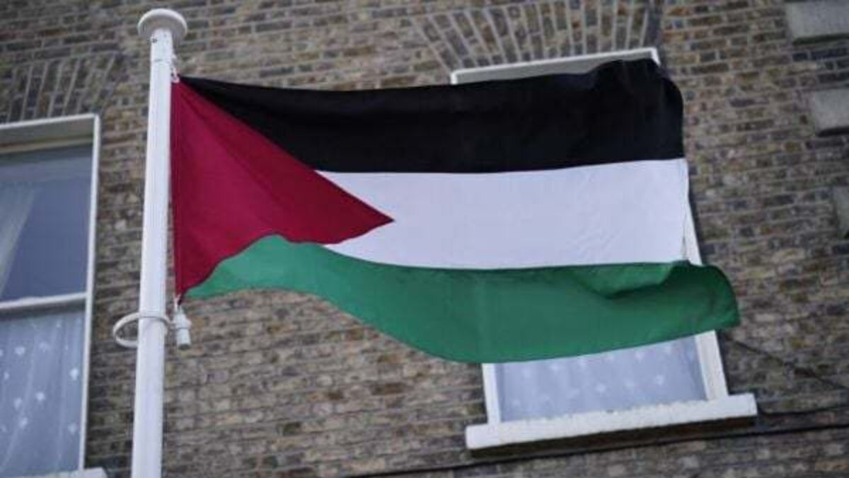 Government urged to refer Israel-Hamas conflict to international court
