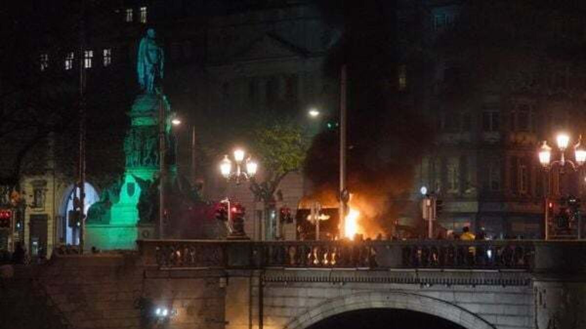 Dublin riots: Garda Public Order Unit stationed outside Leinster House