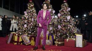 Timothee Chalamet dazzles in velvet suit at world premiere of Wonka