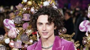 Timothee Chalamet calls Wonka a 'joyful' Christmas film