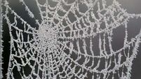 Cold snap brings warnings of ice and fog nationwide