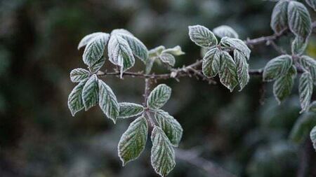 Low temperature and ice warning extended