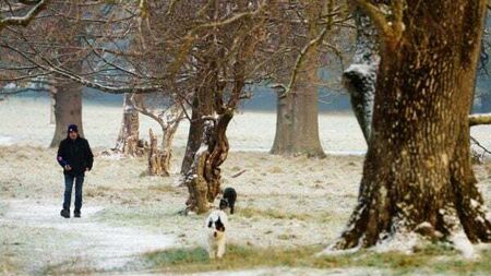 Met Éireann issues another ice warning before milder air brings wind and rain
