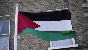 Dublin City Council agrees to fly Palestinian flag in solidarity with people of Gaza