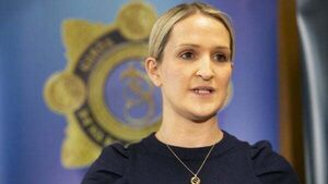 X labels McEntee comments over Garda contact following Dublin riots 'inaccurate' X labels McEntee comments over Garda contact following Dublin riots 'inaccurate'