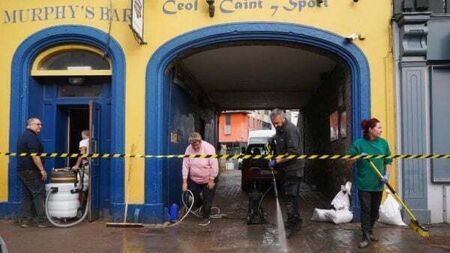 Towns like Midleton urged to adopt UK-style natural flood defences