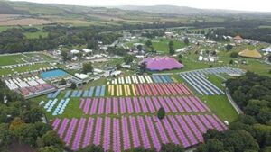 Close to 950 Ukrainian refugees begin arriving at Stradbally Estate Close to 950 Ukrainian refugees begin arriving at Stradbally Estate