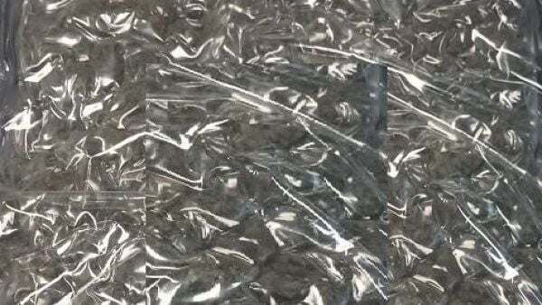 Woman (30s) arrested as gardaí seize cannabis worth €660,000