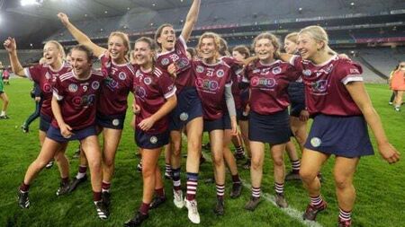 Dicksboro beat Sarsfields to land first All-Ireland club camogie title