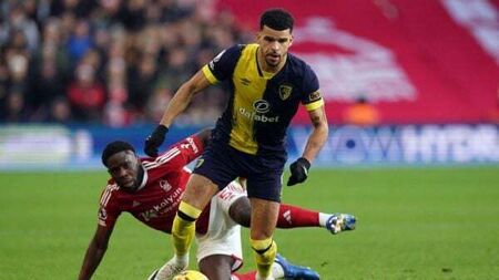 Football rumours: Dominic Solanke catching the eye of Tottenham