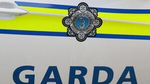 Elderly woman dies following road collision in Co Roscommon Elderly woman dies following road collision in Co Roscommon
