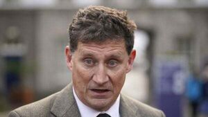 Eamon Ryan criticises false stories and says online disinformation is ‘really toxic’ Eamon Ryan criticises false stories and says online disinformation is ‘really toxic’