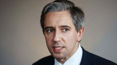 Covid inquiry terms of reference to be brought to Cabinet ‘shortly’, says Harris