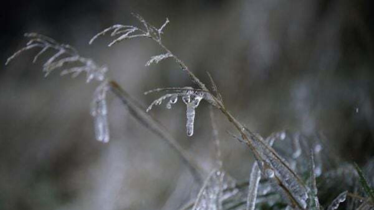 Warning as temperatures expected to plunge below zero across Ireland
