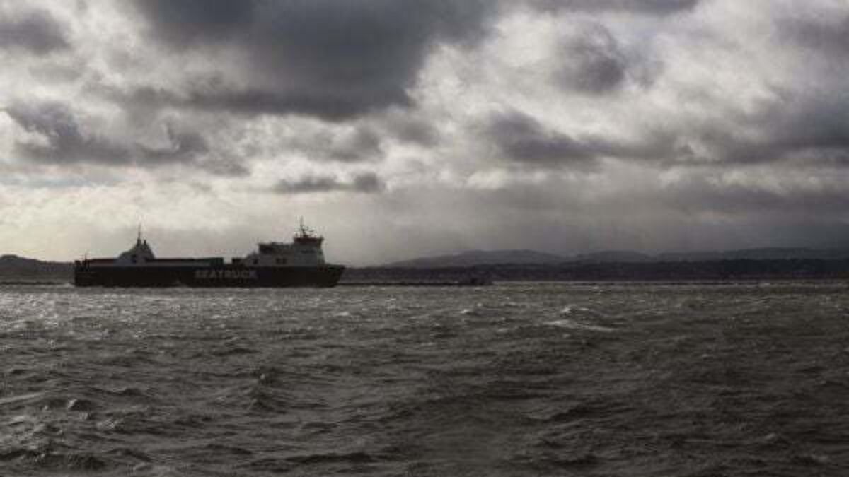 Year-round swimmer drowned in rough sea conditions in Dublin, inquest told