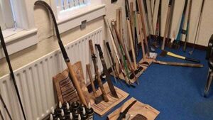Slash hooks, machetes and axes seized in Cork Slash hooks, machetes and axes seized in Cork