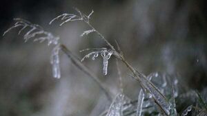 Ice and low temperature warning in place for Donegal, Leitrim, Mayo and Sligo