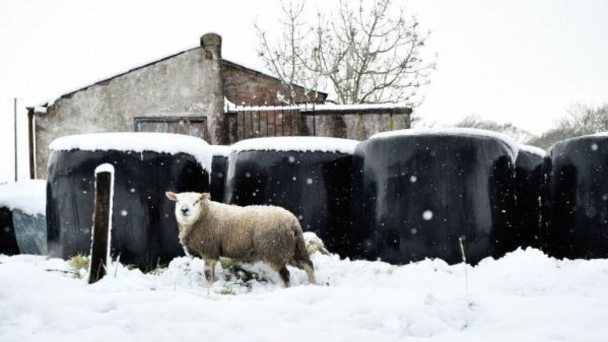 Cold snap continues to bite as temperatures plummet to -6 overnight