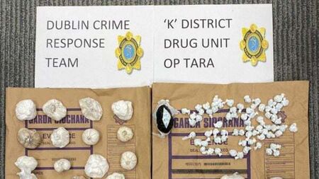 Gardaí seize drugs worth €80,000 after search of Dublin wasteland