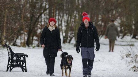 Ireland shivers through another frozen night as cold snap continues