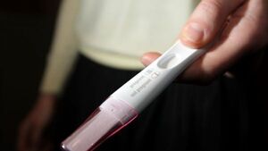 Delaying pregnancy and conception information gap impacting young people's fertility – study Delaying pregnancy and conception information gap impacting young people's fertility – study
