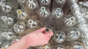 Study finds 95% of people plan to use new deposit return scheme Study finds 95% of people plan to use new deposit return scheme