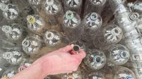 Study finds 95% of people plan to use new deposit return scheme