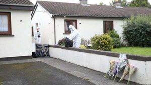 Murder accused was not taking medication months before machete assault, carer tells trial Murder accused was not taking medication months before machete assault, carer tells trial
