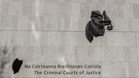 Prisoner's dog to remain detained in kennel pending application for her destruction