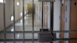 Glen Ward and brother Eric O’Driscoll denied bail on firearms charges