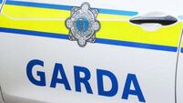 Man and woman due in court after firearms seized in Dublin