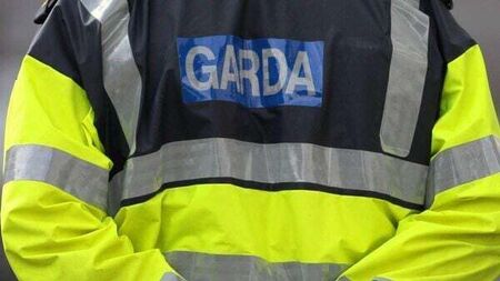 Three gardaí shot with pellet gun while trying to execute court orders